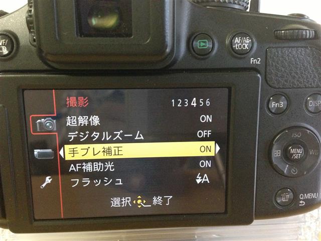 Panasonic Lumix DMC-FZ200のまとめ(1) : デジカメ・写真と動画